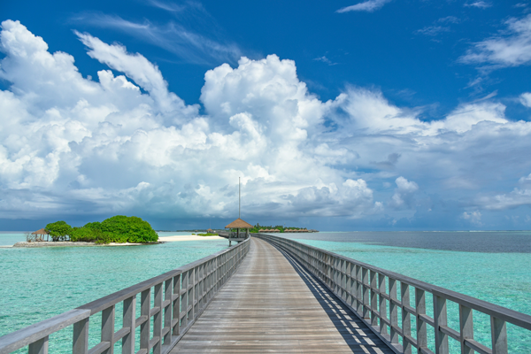 Day 3: Sightseeing in Kochi and departure from Cochin