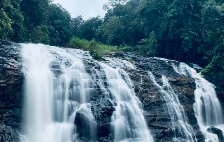 Karnataka – Bangalore Coorg Mysore Ooty Tour