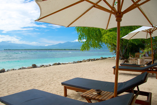 Background Contact Info