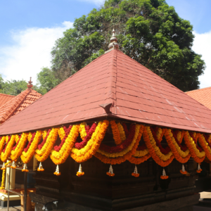 Kerala Temple Tours