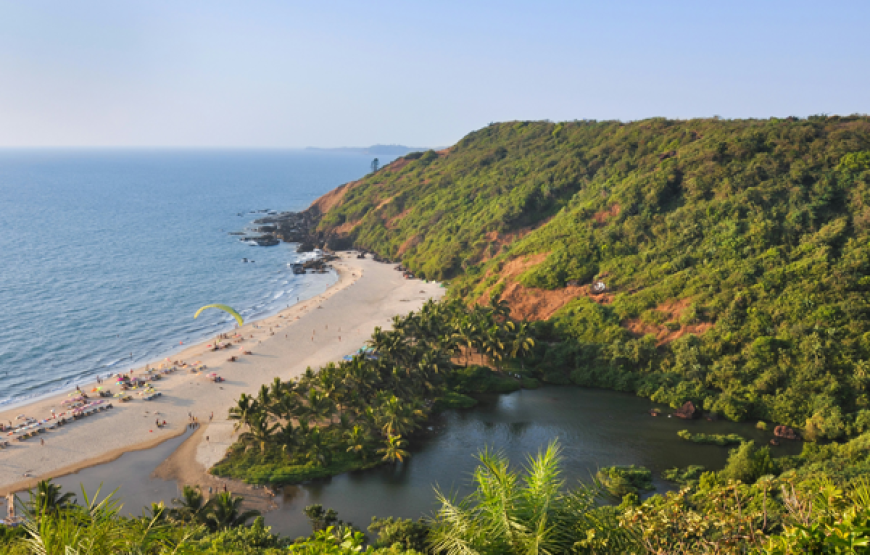 Amazong Goa Tours