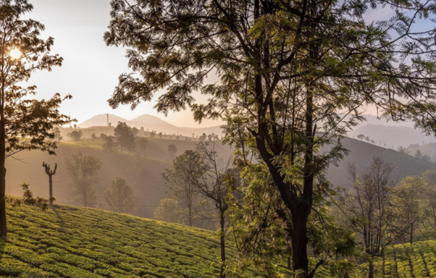 Coonoor – Kodaikannal Tour Package