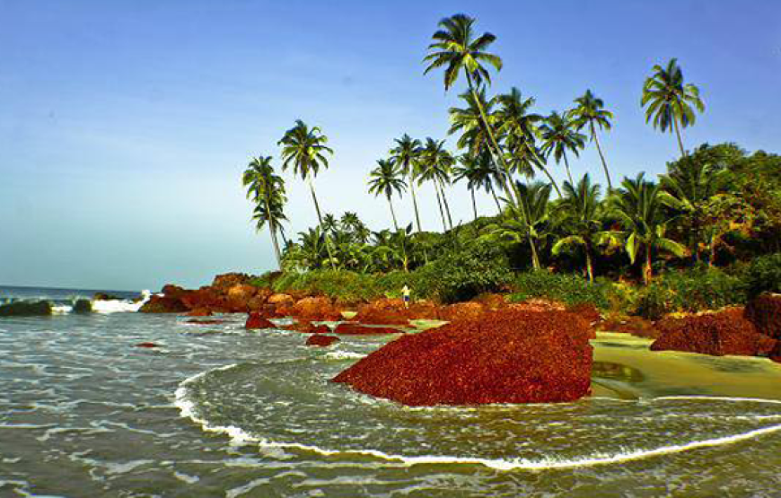 Kokan Tour Packages