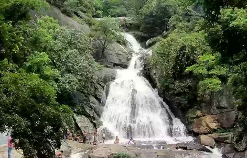 Pollachi-Athirapally – Valparai Tour Package