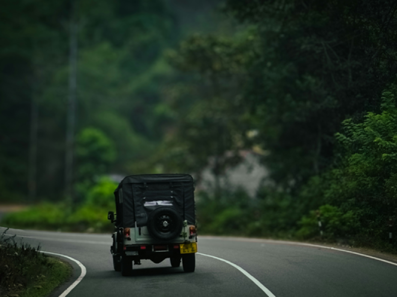 Kodaikanal – Thekkady Holidays Package (2 Nights / 3 Days)