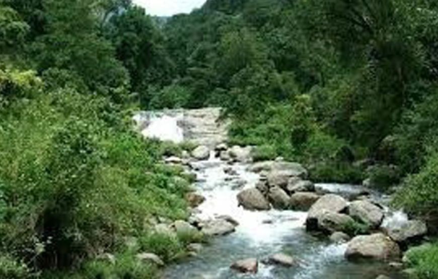 Pollachi-Athirapally – Valparai Tour Package