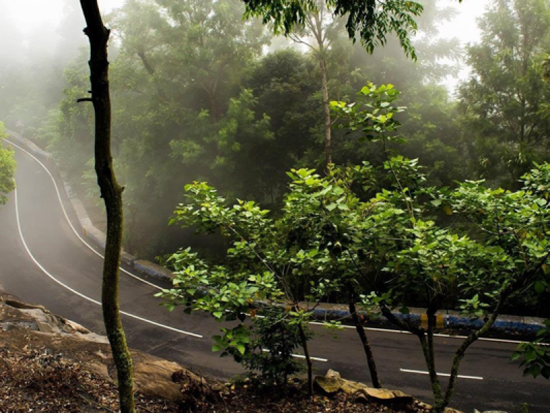 Chennai to Hogenakkal & Yercaud 4 Day Tour Package