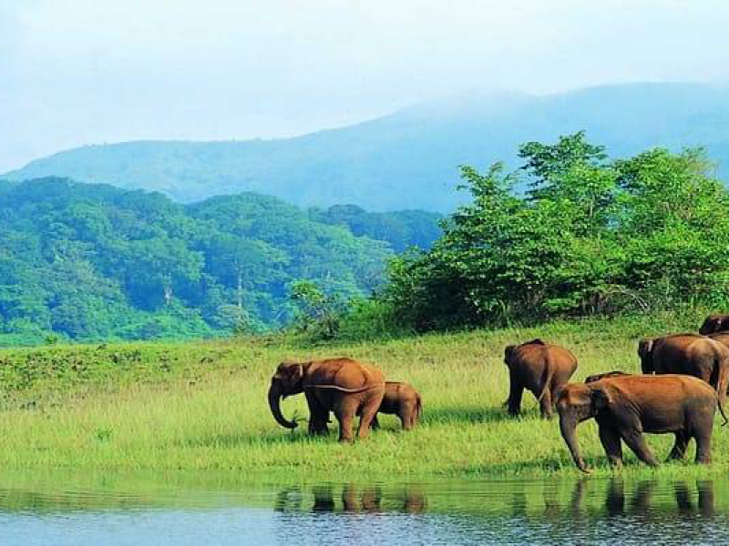 Chennai to Wayanad Students Tour Package 2 Nights-3 Days