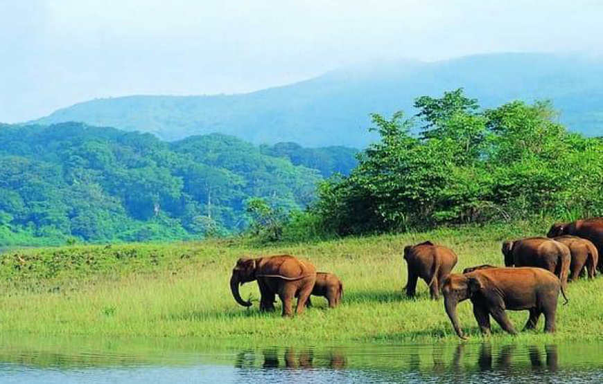 Chennai to Wayanad Students Tour Package 2 Nights-3 Days